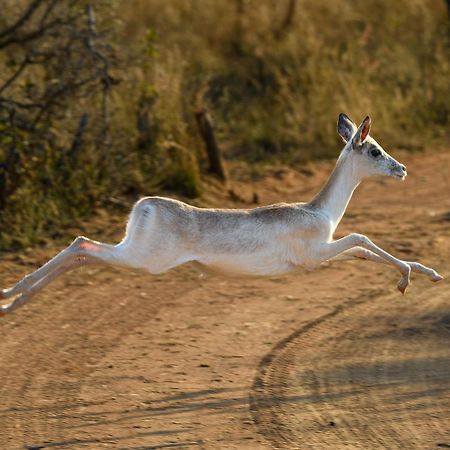 Waterberg Game Park Villa Mokopane Ngoại thất bức ảnh