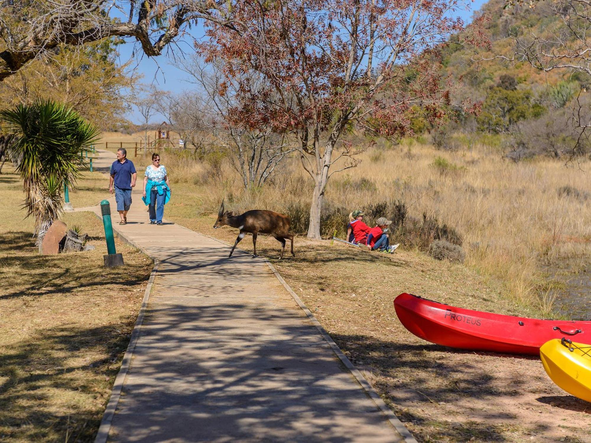 Waterberg Game Park Villa Mokopane Ngoại thất bức ảnh
